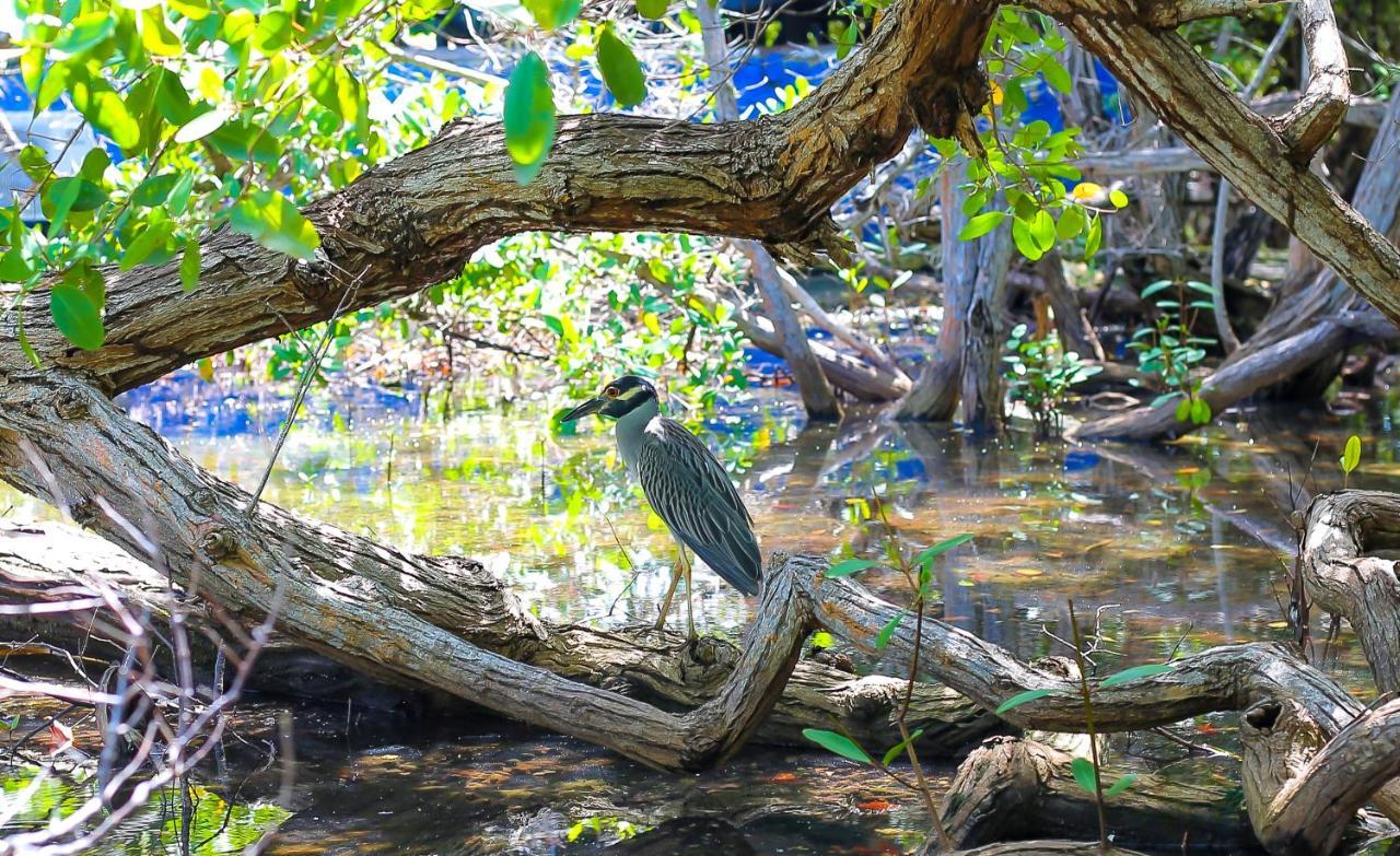 Hotel Isla Palma Reserva Natural ภายนอก รูปภาพ
