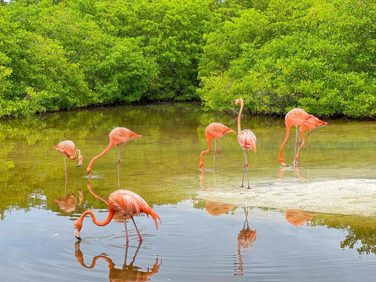 Hotel Isla Palma Reserva Natural ภายนอก รูปภาพ
